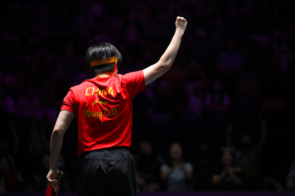 张金加摄, hMAA, bt