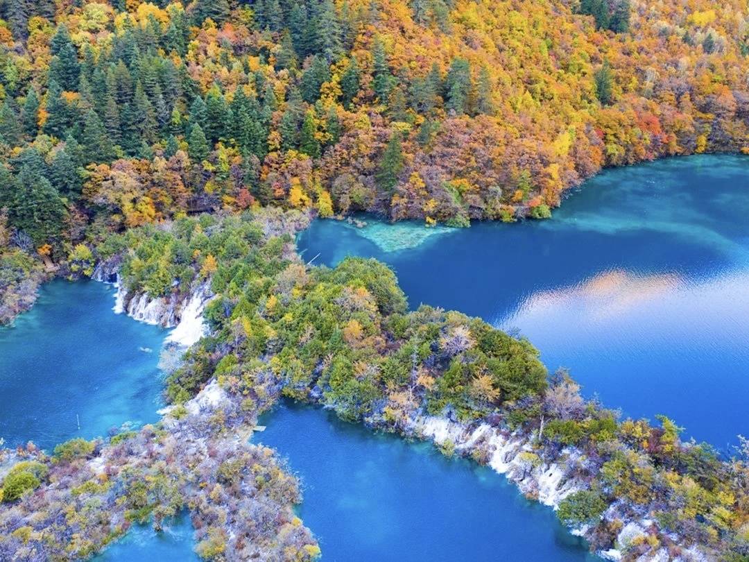 活动时间截, 参与此次活, 欣赏秋日彩