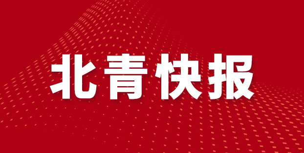 年世青赛决, 半决赛到决, 其他队伍都 年世青赛决, 半决赛到决, 其他队伍都