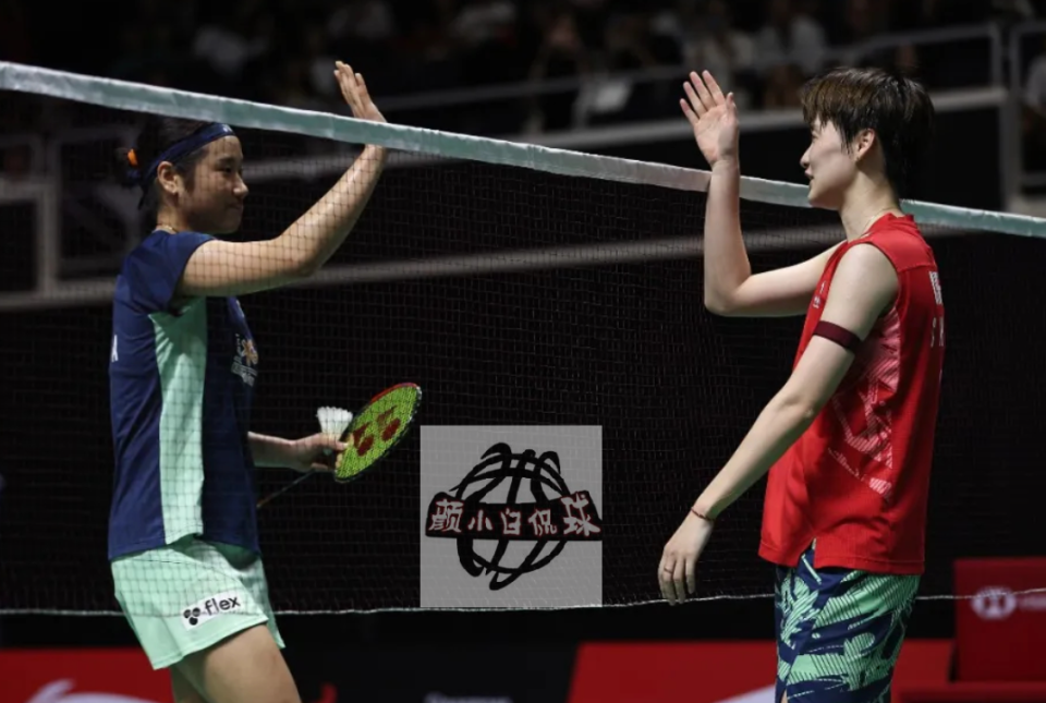 zsAA, 抄袭 zsAA, 抄袭